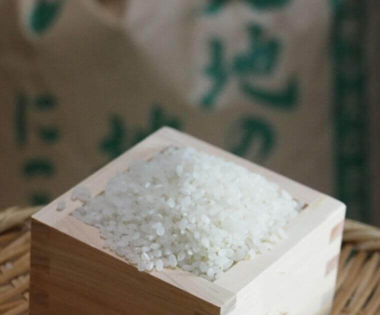静岡のお米「にこまる」